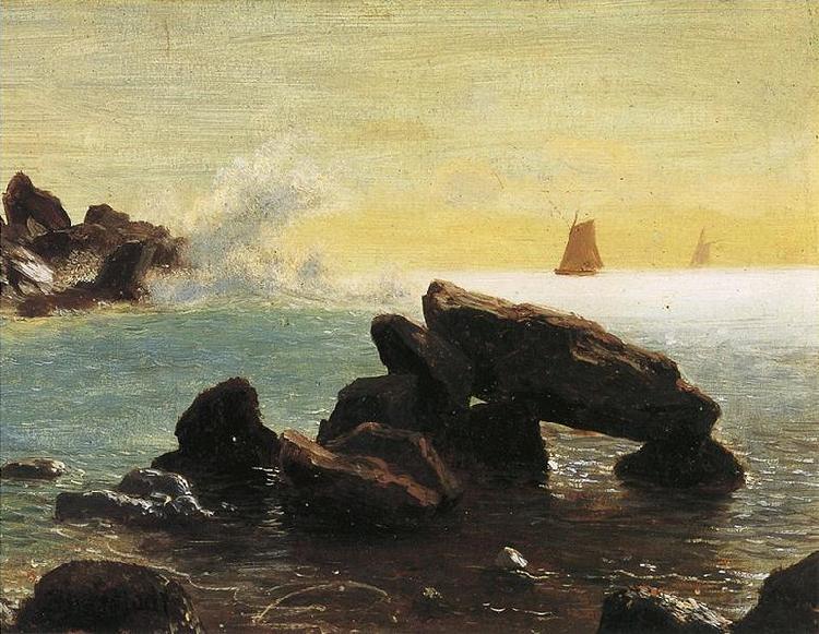 Albert Bierstadt Farallon Islands, off San Francisco in the Pacific, Northern California oil painting image